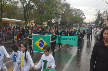 Foto - Desfile Cívico 7 de Setembro 2019