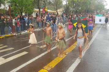 Foto - Desfile Cívico 7 de Setembro 2019