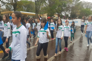 Foto - Desfile Cívico 7 de Setembro 2019