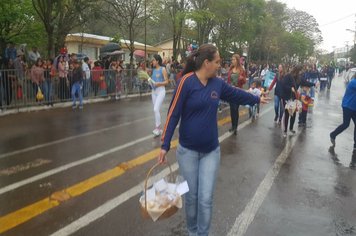 Foto - Desfile Cívico 7 de Setembro 2019