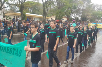 Foto - Desfile Cívico 7 de Setembro 2019