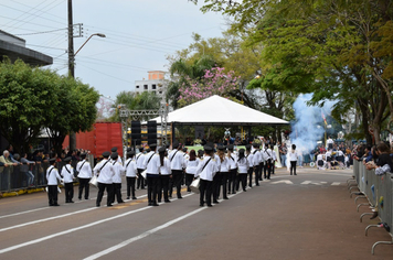 Foto - Desfile Cívico 7 de Setembro 2019