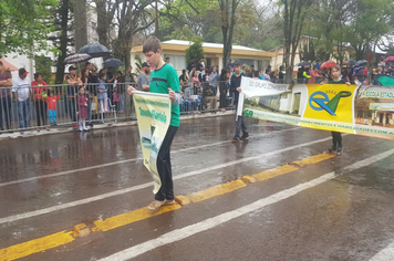 Foto - Desfile Cívico 7 de Setembro 2019