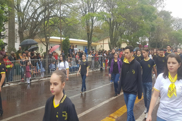 Foto - Desfile Cívico 7 de Setembro 2019