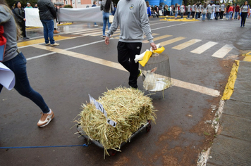 Foto - Desfile Cívico 7 de Setembro 2019