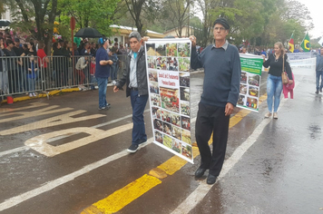 Foto - Desfile Cívico 7 de Setembro 2019