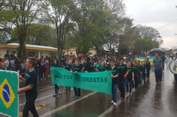 Foto - Desfile Cívico 7 de Setembro 2019
