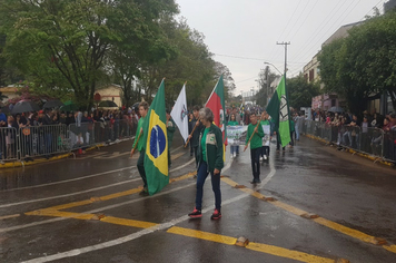 Foto - Desfile Cívico 7 de Setembro 2019