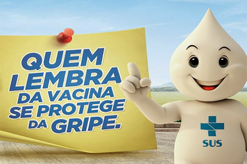 Roteiros de vacinação contra a Influenza (Gripe)