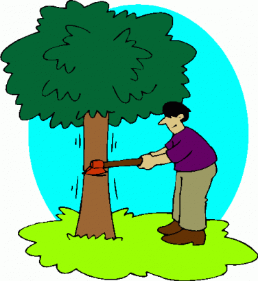 epartamento de Meio Ambiente orienta população a respeito de poda e corte de árvores
